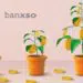Banxso: Single Trading Hub for Multiple Asset Needs